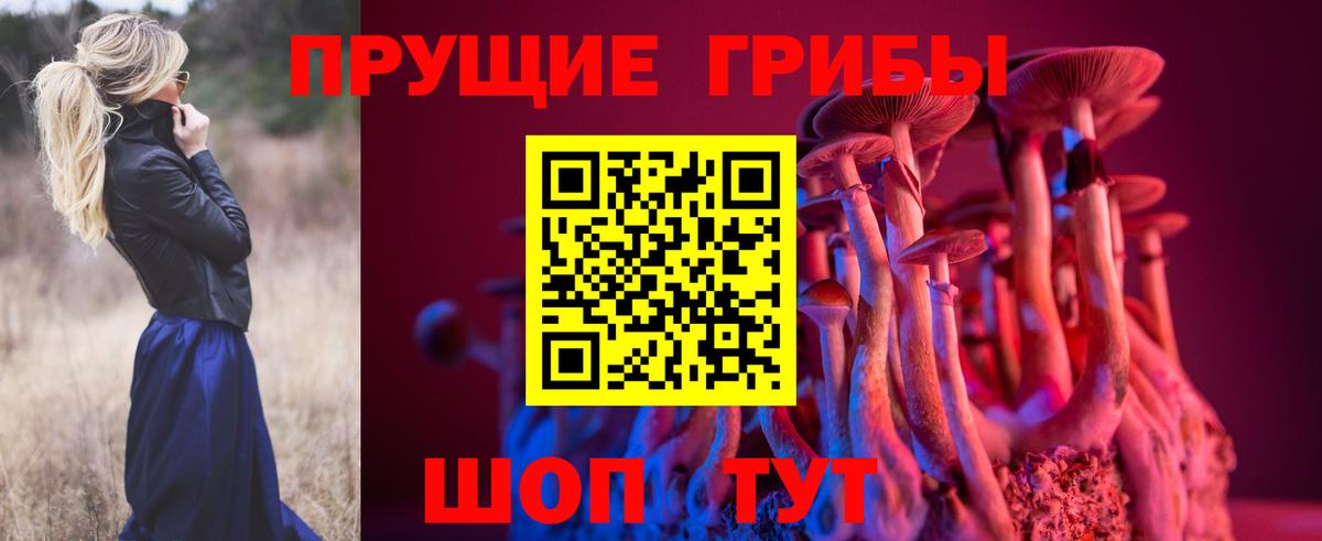 Назарово  Псилоцибиновые грибы Cubensis  Вход с VPN 